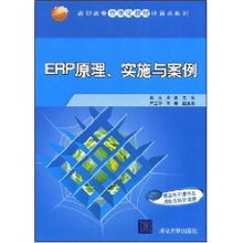 ERP系統原理、實施與網絡技術應用——以肖玉案例為視角